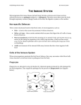 Immune system notes - St Paul`s School Intranet