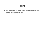 Movement and Joints