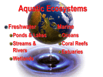 03 APES Aquatic Biomes