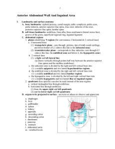anterior abdominal wall and inguinal area