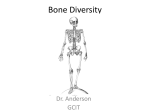 Bone Diversity