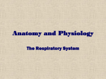 Anatomy and Physiology - Manatee School For the Arts