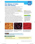 4.2 - Cell Theory
