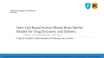 Stem Cell-Based Human Blood*Brain Barrier Models for