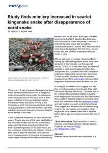 Study finds mimicry increased in scarlet kingsnake snake