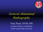 General Abdominal Radiography - North Carolina State University