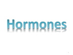 2. Steroid Hormones
