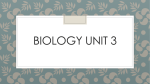 Biology unit 3