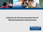 04 Endocrine and Cell Communication