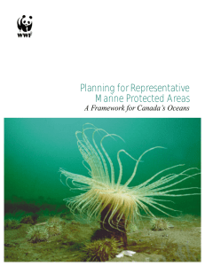 Planning for Representative Marine Protected Areas - WWF