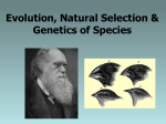 Natural Selection and Genetics of Species