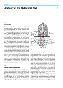 1 Anatomy of the Abdominal Wall