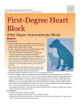 first-degree_heart_block