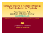 Molecular Imaging in Radiation Oncology - Brief