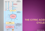 The Citric