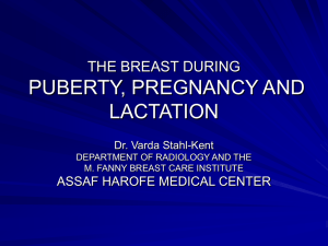 THE BREAST DURING PUBERTY, PREGNANCY AND LACTATION