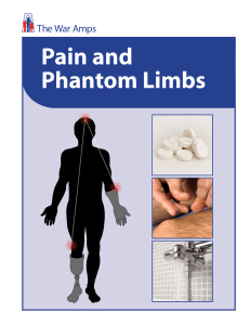 Pain and Phantom Limbs