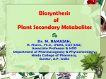 Biosynthesis of Plant Secondary metabolites