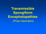 Transmissible Spongiform Encephalopathies (Prion disorders)