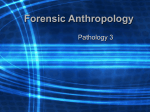 Pathology 3: Anthropology