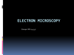 Electron Microscopy!