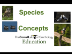 Biological Species Concept