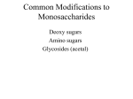 Notes 32 Polysaccharides
