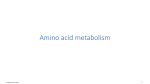 12-Amino_acids