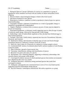 Ch 15 Vocabulary - Plain Local Schools