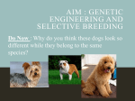 Gene technologies