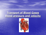 Transport of Blood Gases