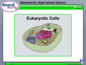 Eukaroytic Cells