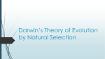 Darwin`s Theory of Evolution by Natural Selection