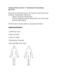Anatomy Notes section 1.7 - Johnson 1st Anatomy and Physiology