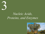 ap nucleic acids, proteins and enzymes