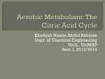 Aerobic Metabolism: The Citric Acid Cycle
