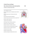 2 Animal Tissues and Organs Heart, blood and blood vessels quick