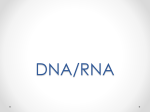 DNA/RNA