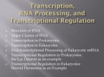 Transcription, RNA Processing, and