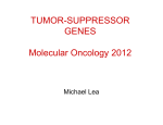 TUMOR SUPPRESSOR GENES Molecular Oncology