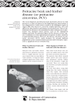 Psittacine beak and feather disease (or psittacine circovirus, PCV)