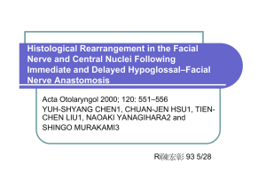 Histological Rearrangement in the Facial Nerve and Central Nuclei