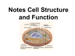 Cell Structure PowerPoint