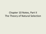 Chapter 10 Notes, Part II