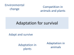 Adaptation for survival