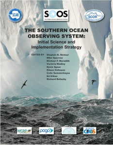 the southern ocean observing system