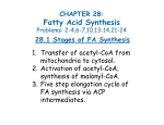 Handout: Fatty Acid Synthesis