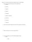 Chapter 45 Digestion Guided Reading