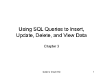 USING SQL QUERIES TO INSERT, UPDATE, DELETE, AND VIEW