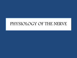 PHYSIOLOGY OF THE NERVE